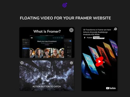 Smartarget Video Widget